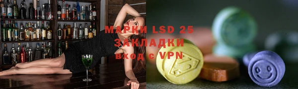 ГАЛЛЮЦИНОГЕННЫЕ ГРИБЫ Саки