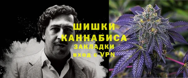 мдпв Надым