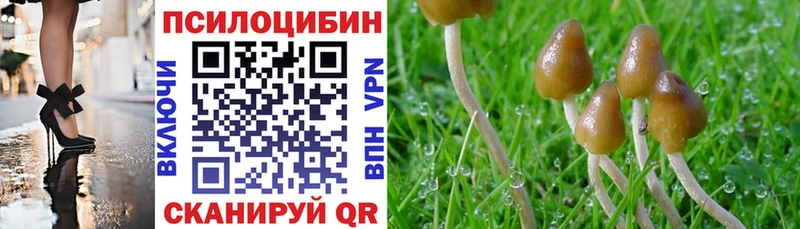 Псилоцибиновые грибы MAGIC MUSHROOMS  Покачи 